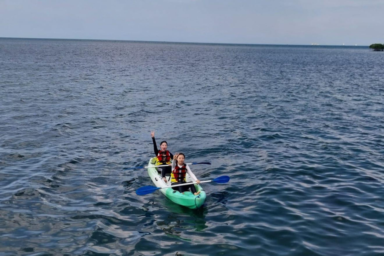 Bintan car charter + Driver Bintan Car Rent