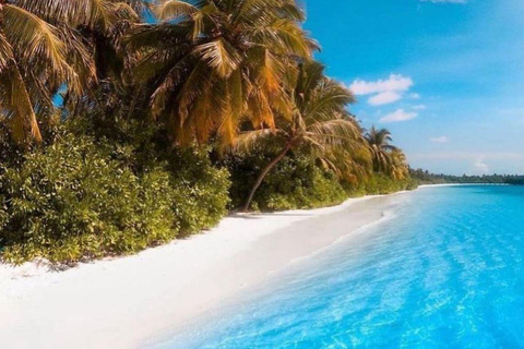 Ilha de Mnemba com almoço, nado com tartarugas, praia de Kendwa