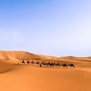 From Marrakech: Merzouga 3-Day Desert Safari with Food