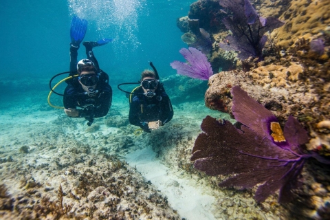 Phuket: Excursión de snorkel y actividades acuáticas en la Isla del CoralBanana Boat + Parasailing + Paseo Marítimo o Submarinismo