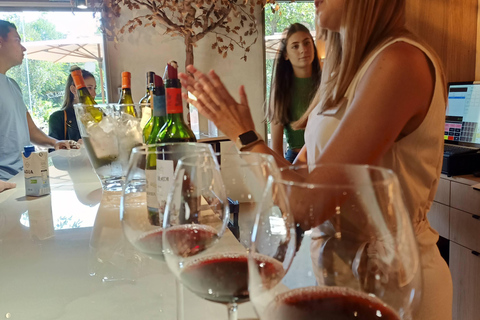 Rioja: Wine Tour with a Local Expert with Tastings