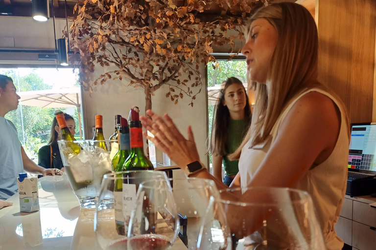 Rioja: Wine Tour with a Local Expert with Tastings