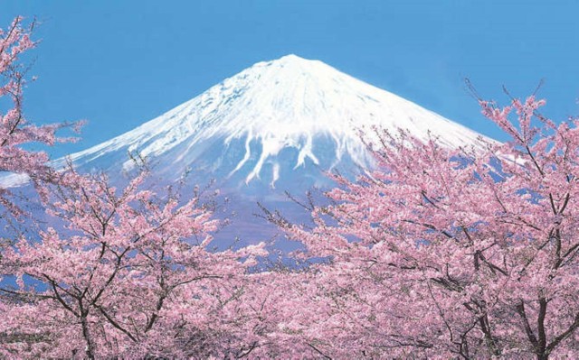 Visit Tokyo to Mt. Fuji area/Kawaguchiko transfer service in Mount Fuji