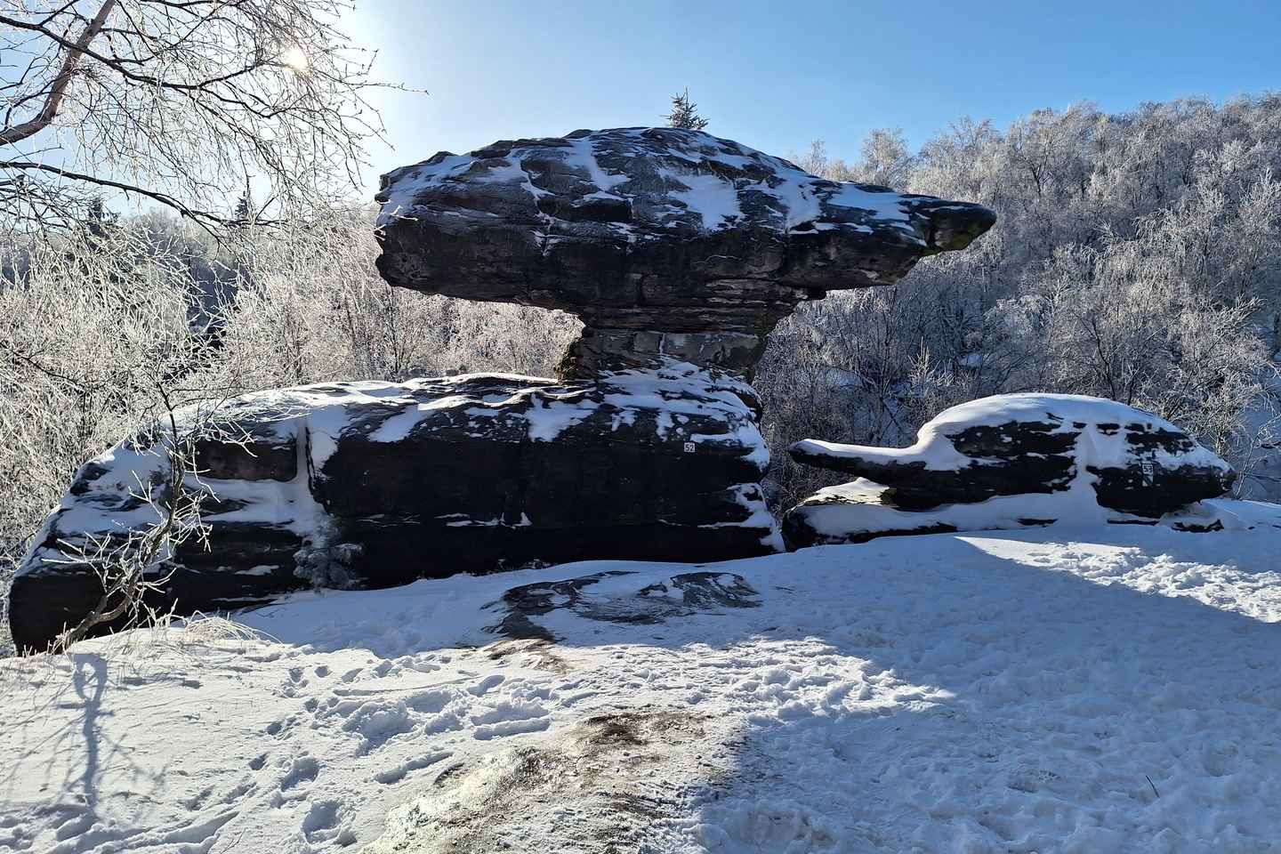 From Prague: Bohemian & Saxon Switzerland All Inclusive Tour