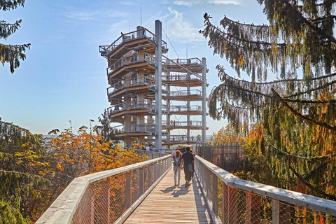 Saarland: Treetop Walk Saarschleife & Lookout Tower