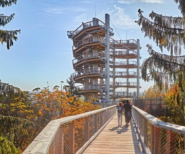 Saarland: Treetop Walk Saarschleife & utsiktstorn