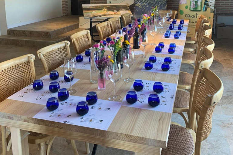 Toledo: Olive Oil Mill Tour & Tasting 4 EVOO Casas de Hualdo