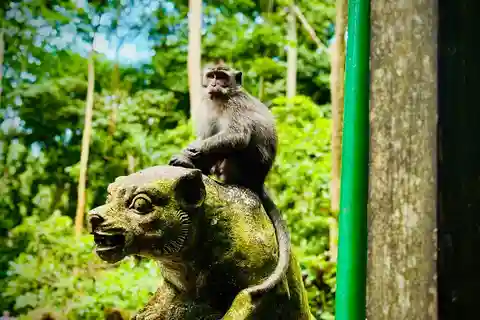 Ubud: Sacred Monkey Forest Sanctuary Ticket and Guided Tour
