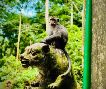 Ubud: Sacred Monkey Forest Sanctuary Ticket and Guided Tour