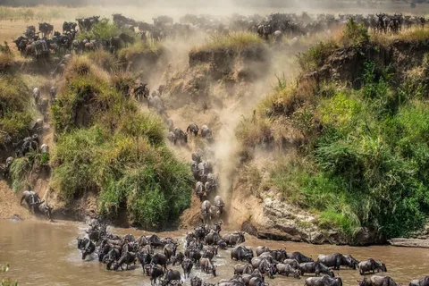 7 Days Serengeti Migration Safari Expedition
