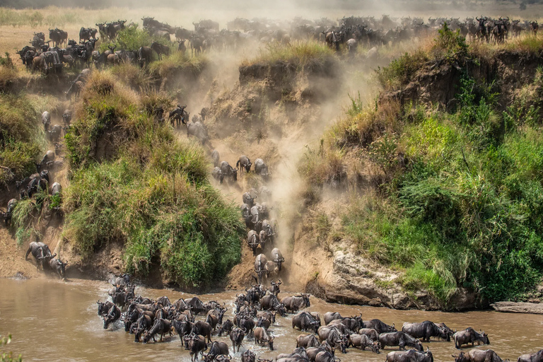 3-dagars safariäventyr i Serengeti och Ngorongoro