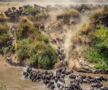 7 Dagen Serengeti Migratie Safari Expeditie