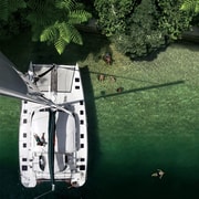 Lake Taupo: Luxury Sailing Catamaran to Māori Rock Carvings Lake Taupo: Luxury Sailing Catamaran to Māori Rock Carvings