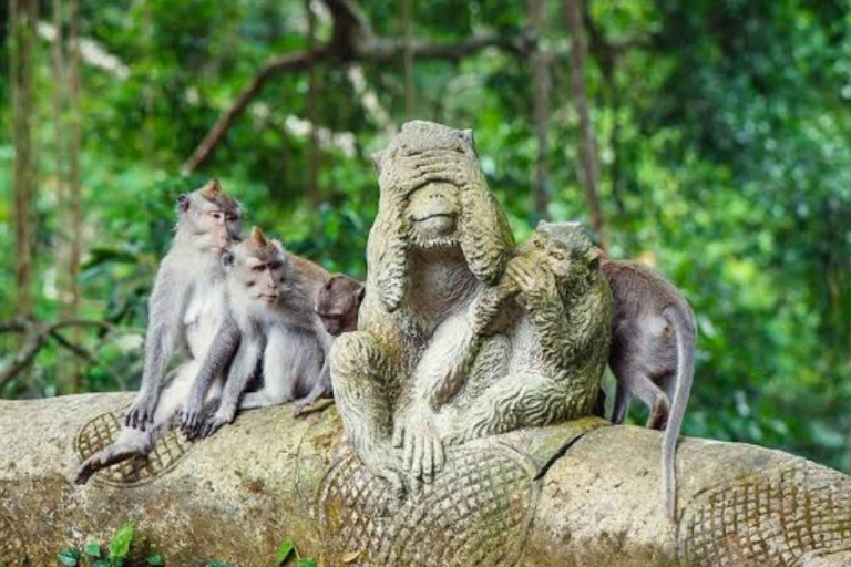 Bali ubud : bosque de monos, cascada , temploBali ubud : bosque mongkey, cascada , templo