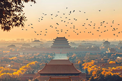 Pechino: tour della Città Proibita con una guida studente di storiaBiglietti d&#039;ingresso per la Città Proibita e il Parco Jingshan