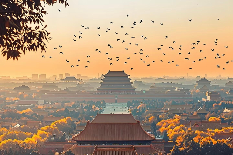 Pechino: tour della Città Proibita con una guida studente di storiaBiglietti d&#039;ingresso per la Città Proibita e il Parco Jingshan