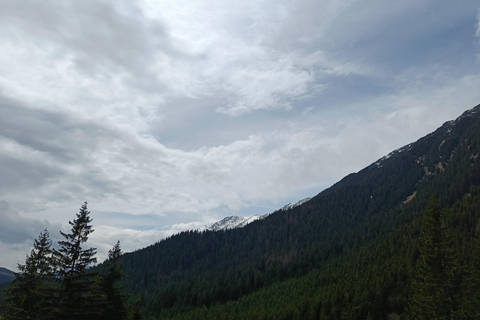 Brașov: Caminhada privada em Piatra Craiului até a cabana CurmaturaBrașov: Caminhada Privada de Piatra Craiului até a Cabana Curmatura