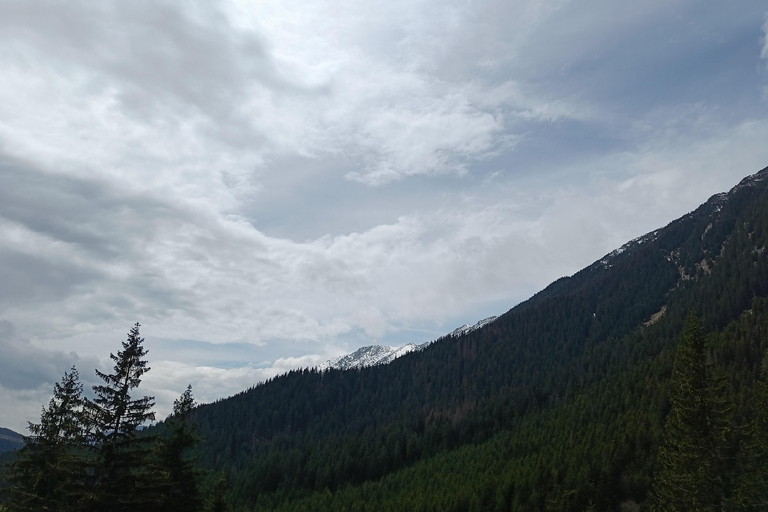 Brașov: Caminhada privada em Piatra Craiului até a cabana CurmaturaBrașov: Caminhada Privada de Piatra Craiului até a Cabana Curmatura