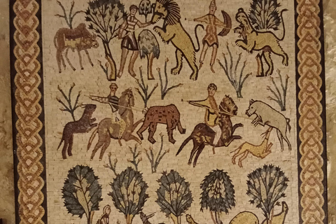 Amman: Dead Sea, Lot's Wife, & Blue Mosque Tour with Lunch Dead Sea only