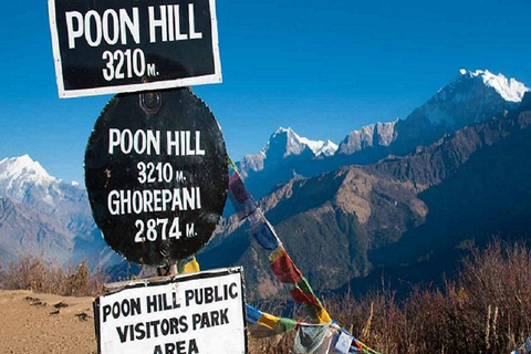 Kathmandu: trekking di 6 giorni a Ghorepani, Poonhill e GhandrukTour privato del trekking con pasti inclusi.