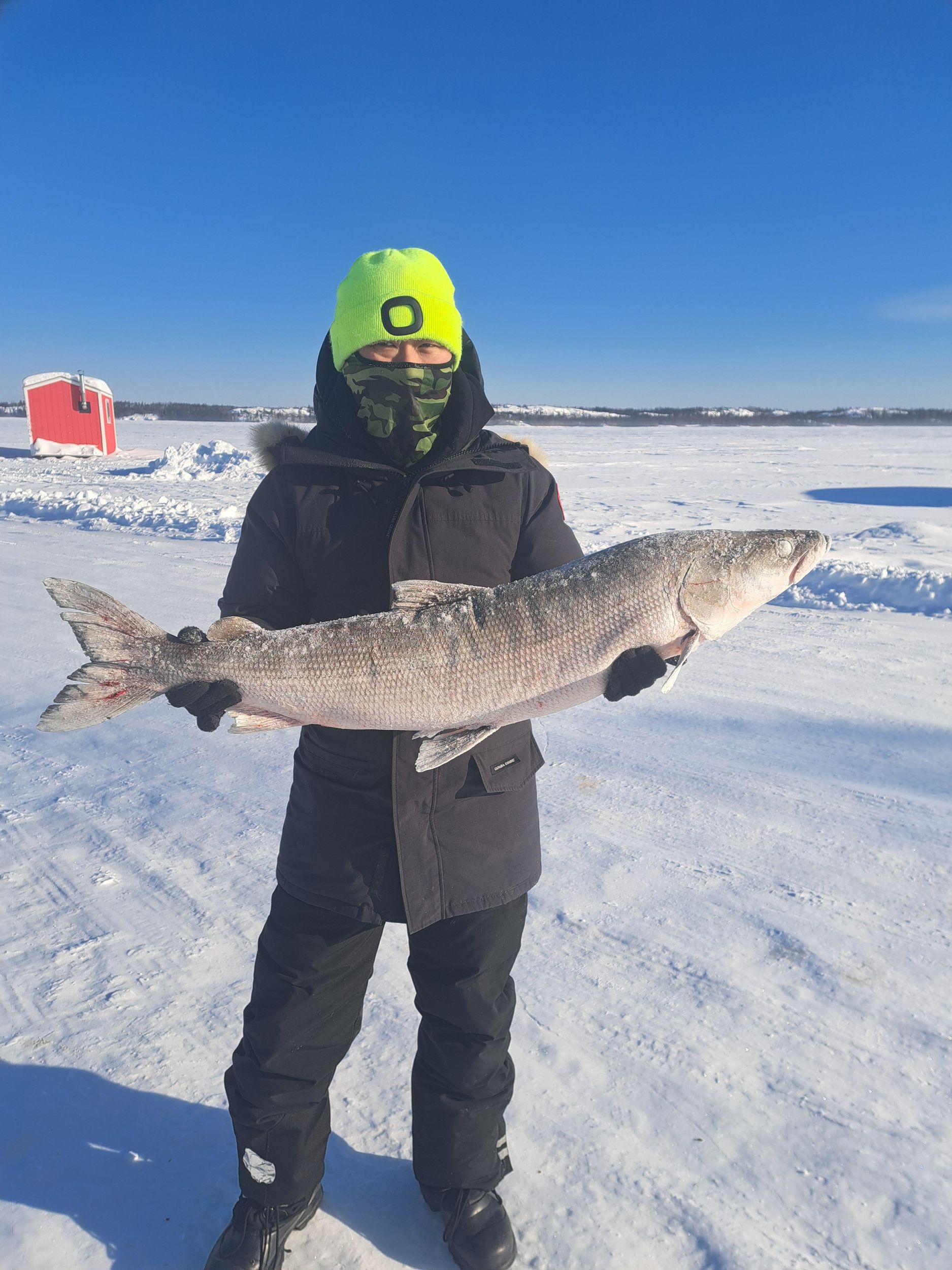 Yellowknife: Ultimatives Eisfischen mit Mittagessen