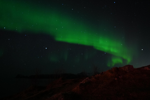 De Tromsø: Excursão à aurora boreal com bebidas quentes e fotos