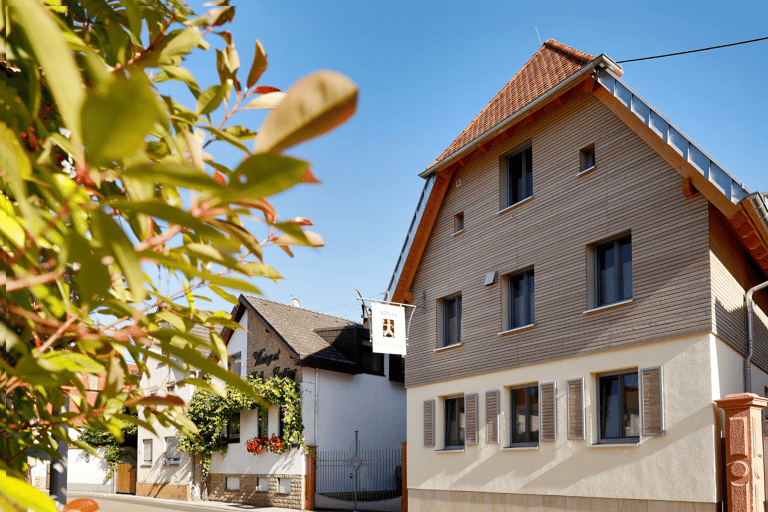Organic wine discovery tour with tasting at the Mohr-Gutting organic winery (Palatinate)