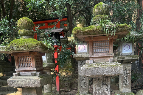 Nara: tour con ciervos, el Gran Buda y demostración de mochi