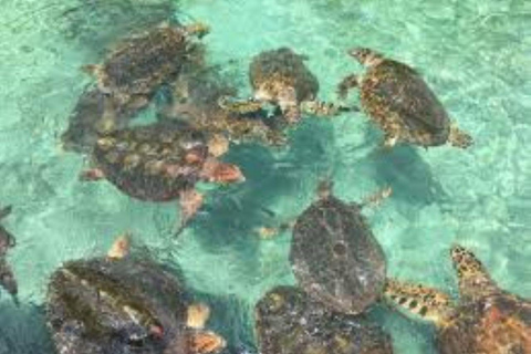 Cartagena: 3 Exclusive Destinations in the Rosario Islands