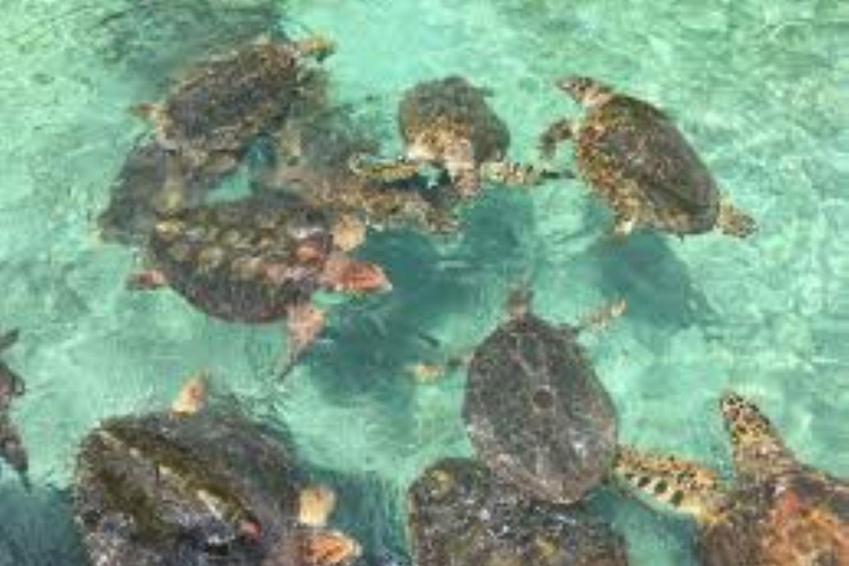 Cartagena: 3 Exclusive Destinations in the Rosario Islands