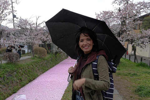 Shore excursion: A Private Kyoto Tour From Osaka/Kobe Port Private Tour for Maximum 8 Travelers in the Group
