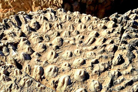 Shared Tour: Nizwa Fort, Souq, Birkat Al Mouz & Jebel Akhdar