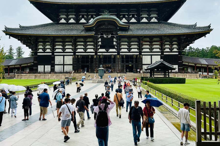 Osaka & Nara: Must-see Spots Full Day Tour with Hotel Pickup