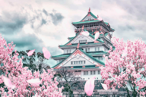 Osaka Private Highlights: Castle, Shinsekai & Dotonbori