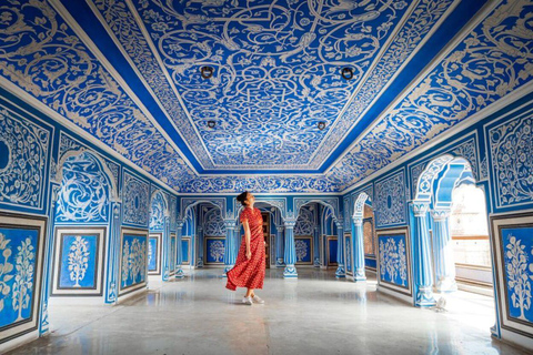 Visita de medio día a Jaipur Fuerte Amer, Jal Mahal y Stepwell