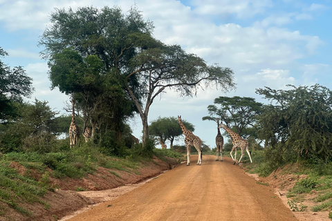 Kampala: 2-Day Best of Uganda Murchison Falls Safari Tour