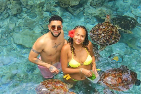 Zanzibar: Jozani Forest & Salaam Cave Sea Turtles Swim Tour Option Without Hotel Transfers