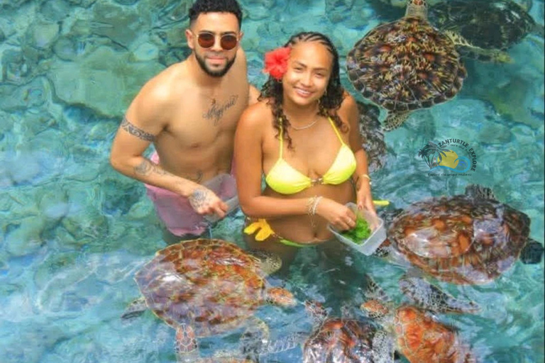 Zanzibar: Jozani Forest & Salaam Cave Sea Turtles Swim Tour Option Without Hotel Transfers