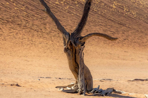 Swakopmund: 3-Day Namib Signature Desert Tour