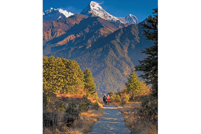 Pokhara: 2-Day Ghorepani Poon Hill Adventure Customize Meal Package