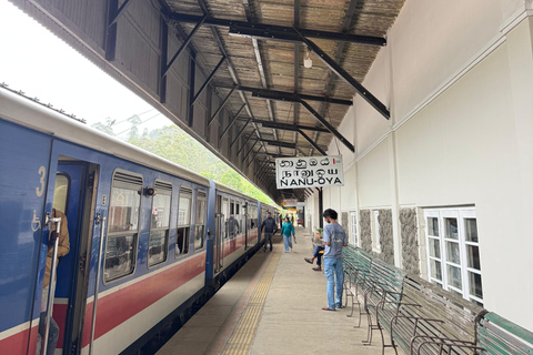 Ella: Second-Class Scenic Train Seat Reservation to NanuOya