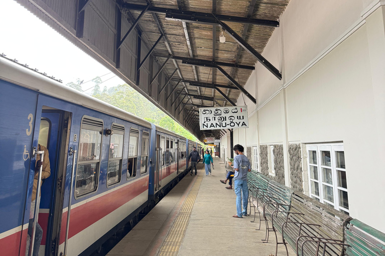 Ella: Second-Class Scenic Train Seat Reservation to NanuOya