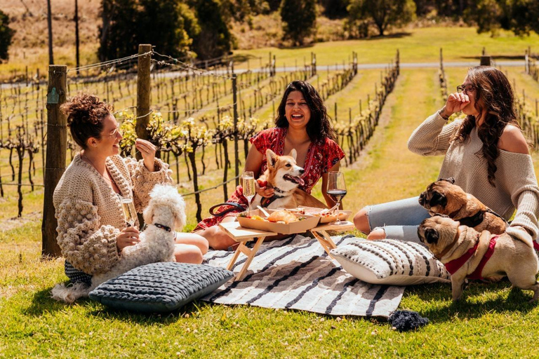 Brisbane: Picknick i vinodlingarna