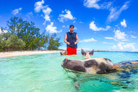 Nassau: Pigs Beach Trip by Boat with Swimming and Feeding
