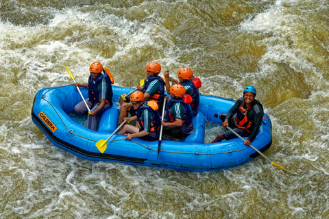 Vanuit Tirana/Durres/Golem: Adventure Rafting dagtrip met gidsPrivétour vanuit Tirana of Durres