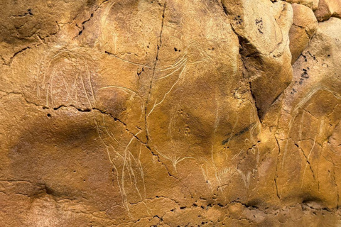 Excursion: Neocueva de Altamira | Santillana del Mar | Comillas Excursion: Altamira Cave | Santillana del Mar | Comillas