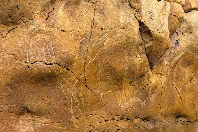 Excursion: Neocueva de Altamira | Santillana del Mar | Comillas Excursion: Altamira Cave | Santillana del Mar | Comillas