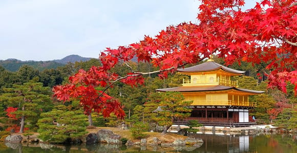 Von Osaka/Kyoto: Kinkakuji, Arashiyama, FushimiInari, Nara