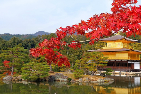 Kyoto: Kinkaku-ji Autumn Leaves Guided Tour 90 Minutes