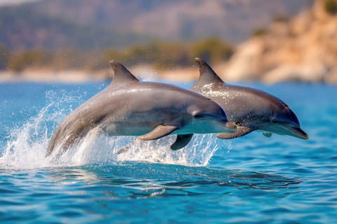 Hurghada : excursion en yacht avec observation des dauphins, déjeuner et options multiplesHurghada : Yacht privé avec dauphins, plongée en apnée et île